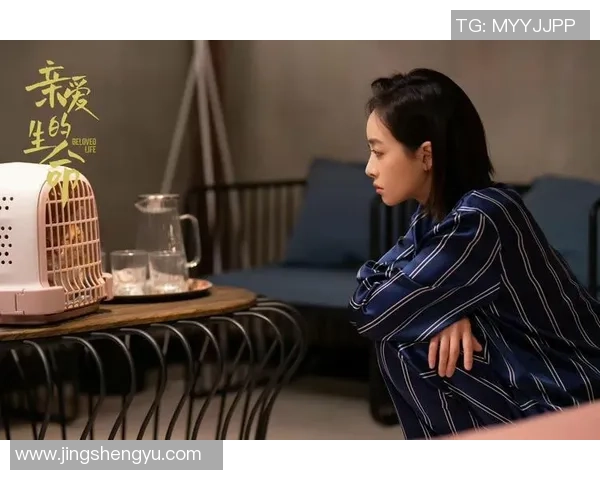 韩国足球明星妻子的生活揭秘与背后的支持力量分析